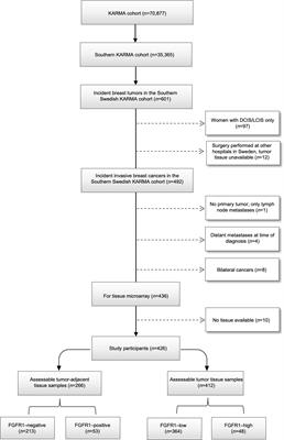 FGF/FGFR1 system in paired breast tumor-adjacent and tumor tissues, associations with mammographic breast density and tumor characteristics